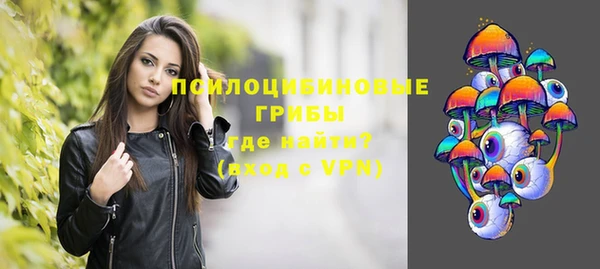 дурь Богданович
