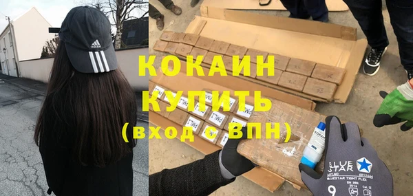 сатива Бородино