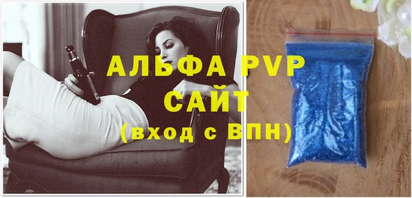 сатива Бородино