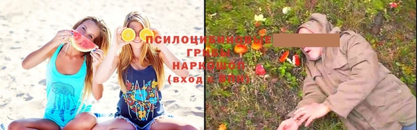 spice Богородск