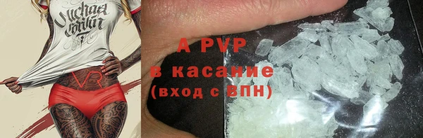 сатива Бородино