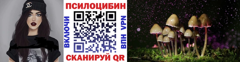 Купить  Козьмодемьянск  Псилоцибиновые грибы MAGIC MUSHROOMS 