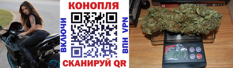 Марихуана сатива  Купить где  Козьмодемьянск 
